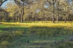 1447 Red Gate Rd, Mart, TX 76664 - Photo 3