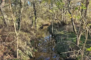 1447 Red Gate Rd, Mart, TX 76664 - Photo 17