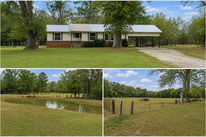 2050 W State Highway 64 Highway, Ben Wheeler, TX 75754 - Photo 1