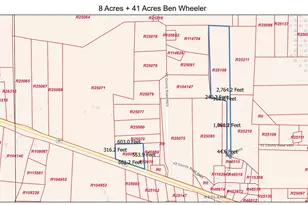 2050 W State Hwy 64 Hwy, Ben Wheeler, TX 75754 - Photo 13