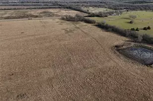 3500 Fm 2456, Ladonia, TX 75449 - Photo 1