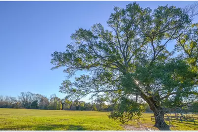 13612 County Road 3900, Athens, TX 75752 - Photo 29