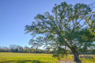 13612 Co Rd 3900, Athens, TX 75752 - Photo 29