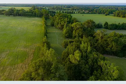 13612 County Road 3900, Athens, TX 75752 - Photo 31