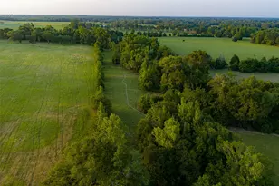 13612 Co Rd 3900, Athens, TX 75752 - Photo 31