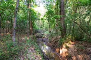13612 Co Rd 3900, Athens, TX 75752 - Photo 35