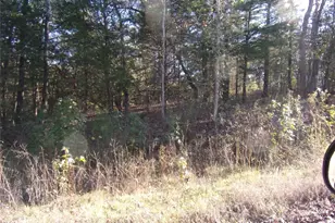 000 Woodcreek Dr, Murchison, TX 75778 - Photo 1