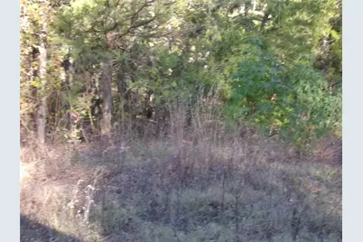 000 Woodcreek Drive, Murchison, TX 75778 - Photo 5