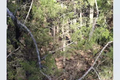 000 Woodcreek Drive, Murchison, TX 75778 - Photo 7