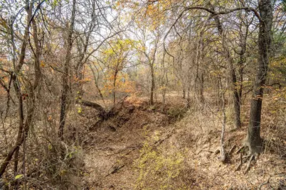 812 S Duncan Creek Court, Weatherford, TX 76087 - Photo 35