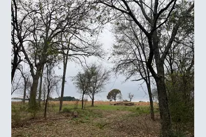 Tbd Fm 1652, Grand Saline, TX 75140 - Photo 5