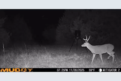 3837 State Highway 31, Hubbard, TX 76648 - Photo 11