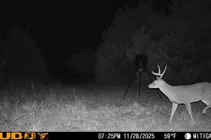 3837 State Hwy 31, Hubbard, TX 76648 - Photo 11