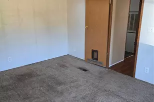 1903 VZ County Rd 4410, Ben Wheeler, TX 75754 - Photo 23