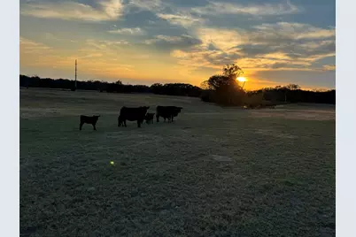 Tbd County Road 3827, Wills Point, TX 75169 - Photo 21