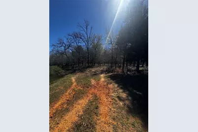 8910 Hwy 59 Highway, Athens, TX 75751 - Photo 13