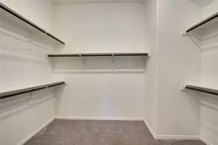 308 Moss Cove Dr, Aubrey, TX 76227 - Photo 29