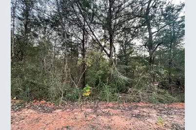 224,208 E Cherokee, Bullard, TX 75757 - Photo 17