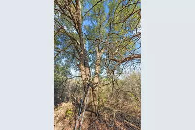 Tbd Fm-1304, Aquilla, TX 76622 - Photo 39