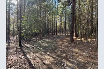 Tbd Fm 130, Hughes Springs, TX 75656 - Photo 9