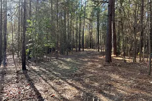 Tbd Fm 130, Hughes Springs, TX 75656 - Photo 9