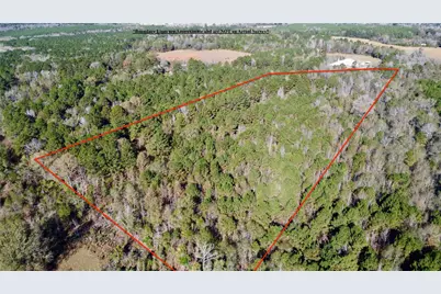 Tbd Fm 130, Hughes Springs, TX 75656 - Photo 3