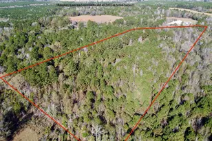 Tbd Fm 130, Hughes Springs, TX 75656 - Photo 3