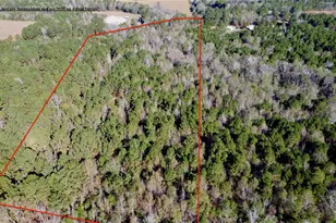 Tbd Fm 130, Hughes Springs, TX 75656 - Photo 7