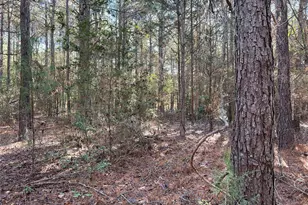 Tbd Cr 2921, Hughes Springs, TX 75656 - Photo 7