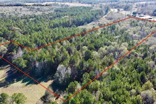 Tbd Cr 2921, Hughes Springs, TX 75656 - Photo 5