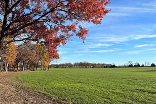 5972 Fm 2071, Gainesville, TX 76240 - Photo 1