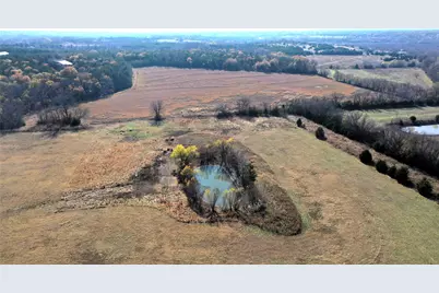 Tbd Pilot Grove Road, Whitewright, TX 75491 - Photo 13