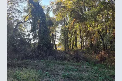 3 Acres Tbd County Road 3117, Clarksville, TX 75426 - Photo 15