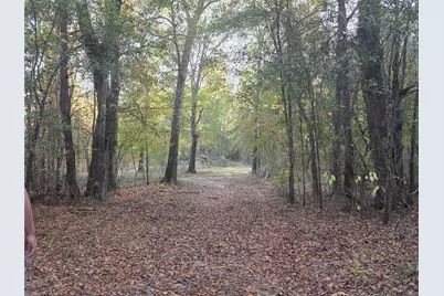 3 Acres Tbd County Road 3117, Clarksville, TX 75426 - Photo 13