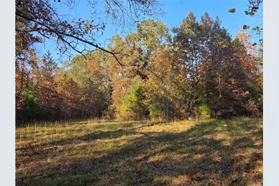 3 Acres Tbd County Road 3117, Clarksville, TX 75426 - Photo 9