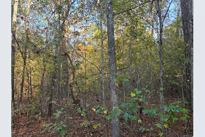 3 Acres Tbd County Road 3117, Clarksville, TX 75426 - Photo 11