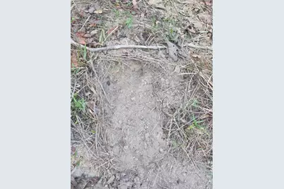 3 Acres Tbd County Road 3117, Clarksville, TX 75426 - Photo 3