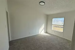 288 Salt Grass Cir, Poolville, TX 76487 - Photo 13