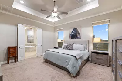 251 Hlavek Road, Decatur, TX 76234 - Photo 19