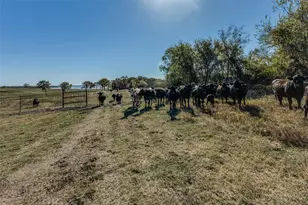 15675 Co Rd 4024, Kemp, TX 75143 - Photo 29