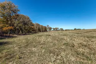 15675 Co Rd 4024, Kemp, TX 75143 - Photo 27