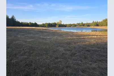 42Acres Fm 38 Tx, Honey Grove, TX 75446 - Photo 3