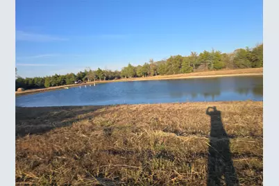 42Acres Fm 38 Tx, Honey Grove, TX 75446 - Photo 5