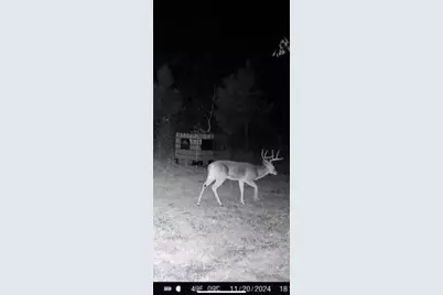 Tbd Cr 1579, Avinger, TX 75630 - Photo 17