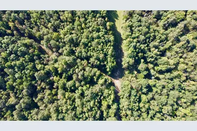 Tbd Cr 1579, Avinger, TX 75630 - Photo 7