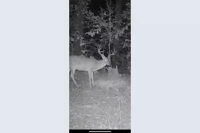 Tbd Cr 1579, Avinger, TX 75630 - Photo 11