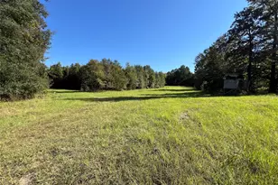 Tbd Cr 1579, Avinger, TX 75630 - Photo 1