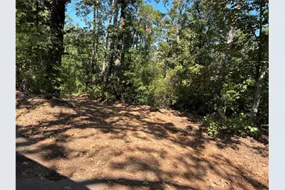 Tbd Cr 1579-1, Avinger, TX 75630 - Photo 5