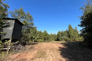 Tbd Cr 1579-1, Avinger, TX 75630 - Photo 1