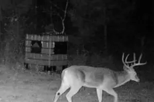 Tbd Cr 1579-1, Avinger, TX 75630 - Photo 15